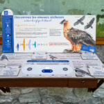 Inauguration de la scénographie de la maison du Parc national de la Vanoise et du refuge de Rosuel. |